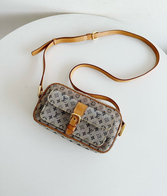 Louis Vuitton Bag 22x13x5cm