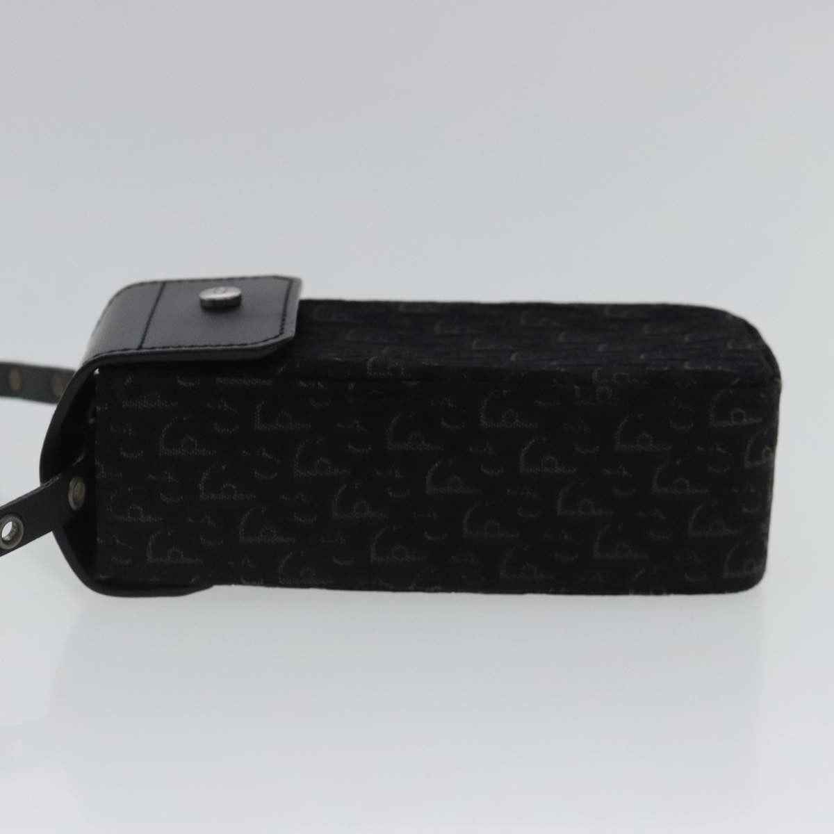 Christian Dior Trotter Pouch Diorissimo Canvas Black Canvas Clutche & Pouche Bag  