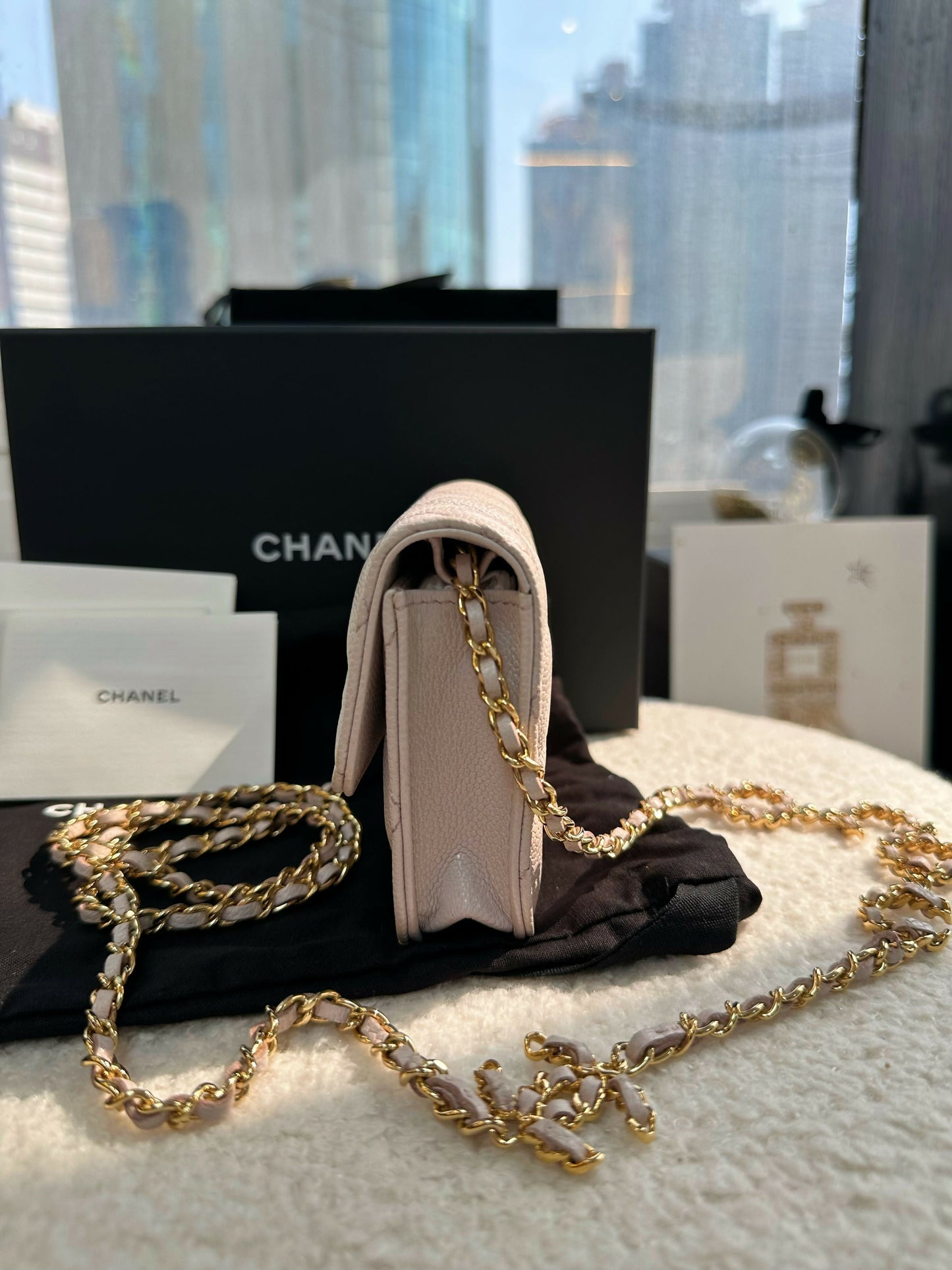 Chanel(21)Small Leather Coco Chain Bag